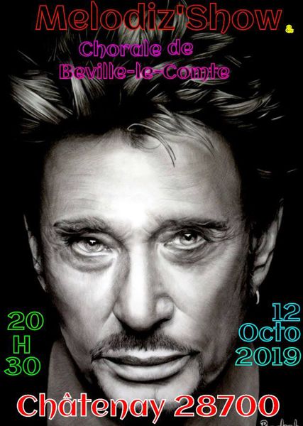 Concert Hommage a Johnny Hallyday