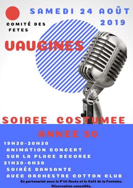 Soirée costumée année 50