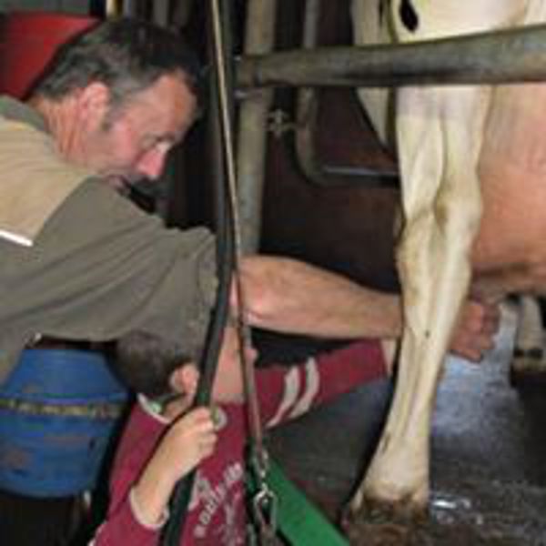 Jeudi matin à la ferme