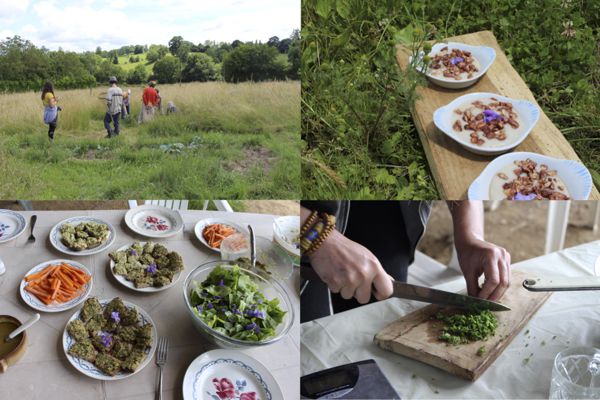 Journée plantes comestibles et médicinales