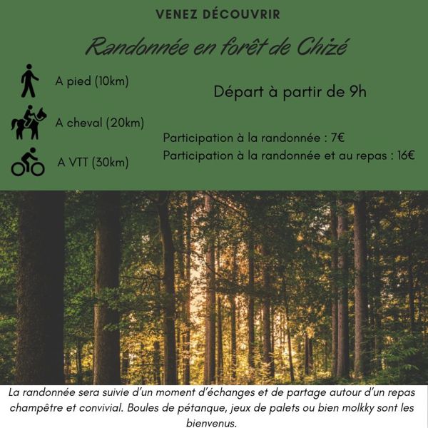 Randonnée pedestre, VTT et à cheval