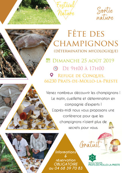 Fête des champignons