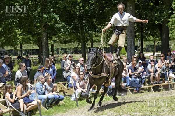 Festival du TRAC