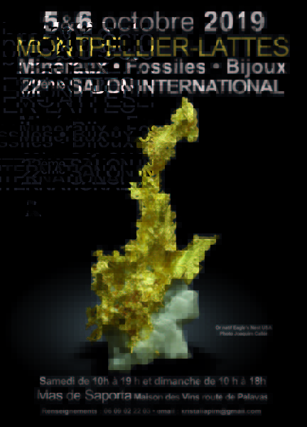 Bourse Minéraux, fossiles, pierres taillées, bijoux Lattes