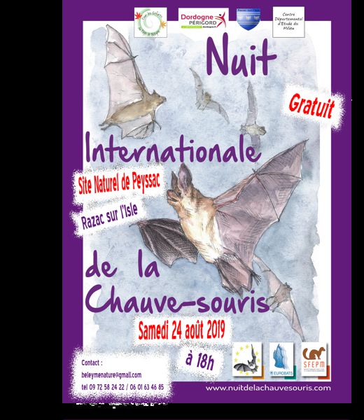 Nuit de la chauve-souris