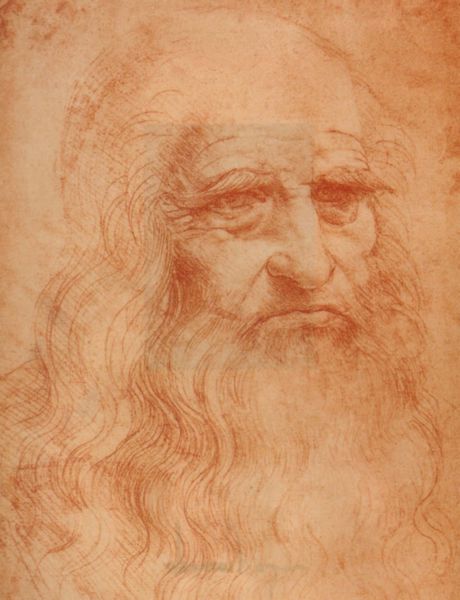 Léonard de Vinci et la nature