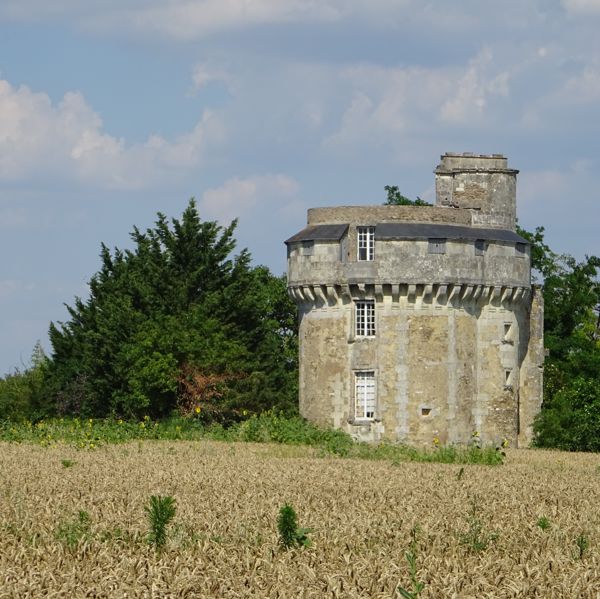 Visite guidée : la Tour d'Abain