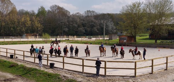 Balades à poney