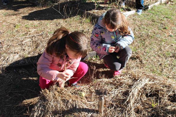 Atelier nature pour les enfants