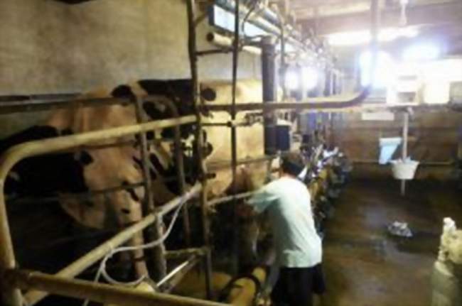 Visite de la ferme Gélineau