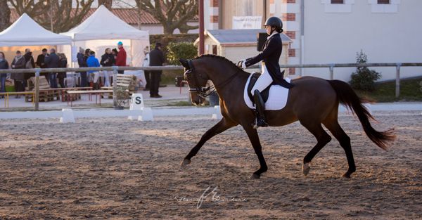 Concours National de Dressage