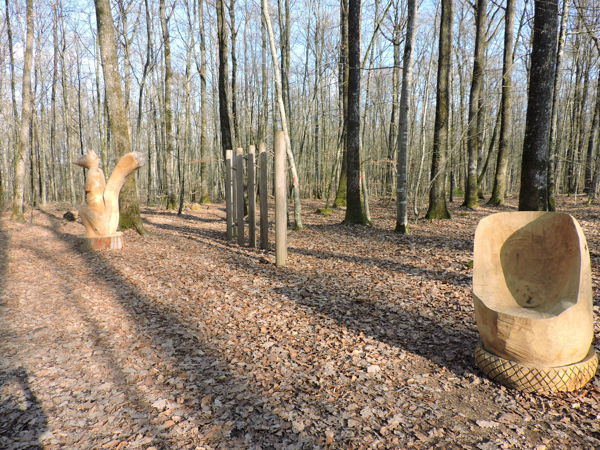 Visite guidée - Forêt de Vouillé