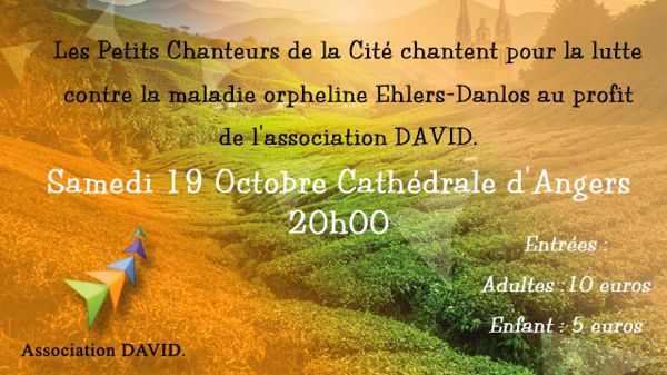 concert des Petits Chanteurs de la Cité à la Cathédrale d'Angers