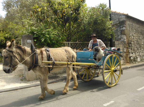 FETE DES ANES