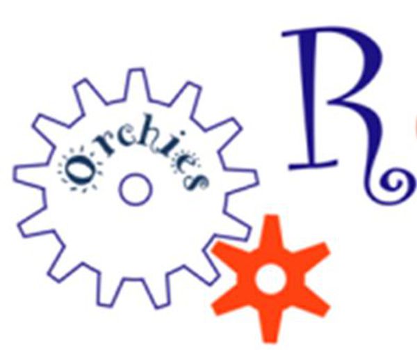 REPAIR CAFE ORCHIES