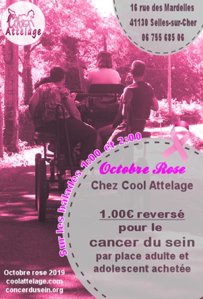 Cool Attelage passe au rose - la lutte contre le cancer du sein chez la femme