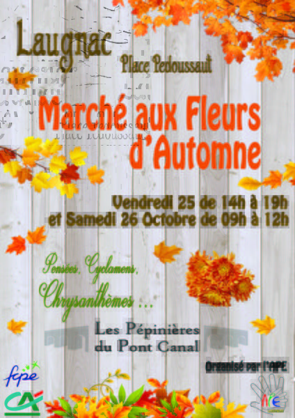 Marché aux fleurs d'automne