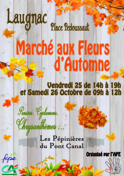 Marché aux fleurs d'automne