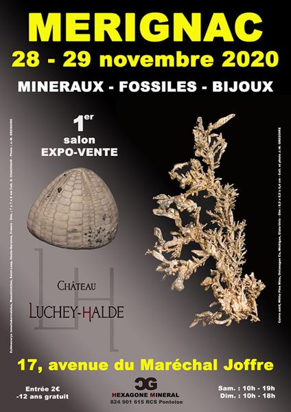 1er SALON MINERAUX FOSSILES BIJOUX de MERIGNAC (33)