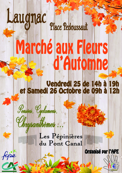 marché de fleurs d'automne