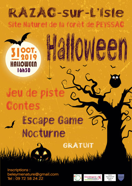 Halloween peyssac 2019