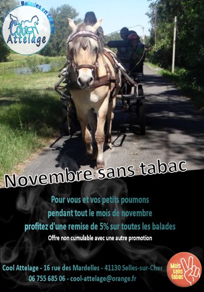 Novembre sans tabac