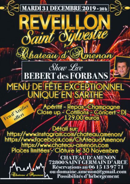 Dîner, Concert privé,  Feu d'artifice Saint Sylvestre 2020