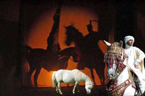 Le fabuleux voyage de Litchou le petit poney blanc