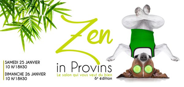 Salon Zen in Provins