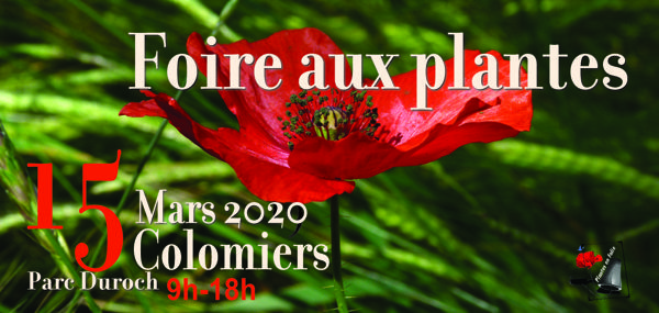 Foire aux Plantes de COLOMIERS