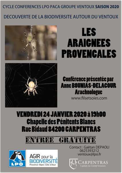 Conférence Les Araignées Provençales