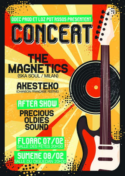 Concert  the Magnetics