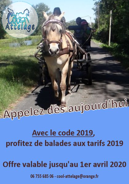 Balades en attelage aux tarifs de 2019