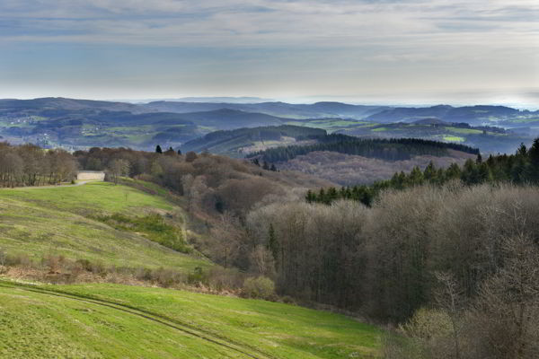 Portrait de territoire. Le pays du Beuvray