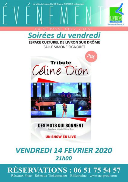 Des mots qui sonnent - Tribute Céline Dion