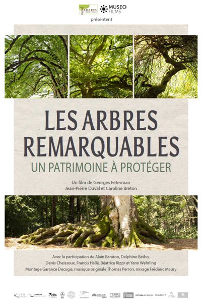 Ciné-débat gratuit : Les arbres remerquables, un patrimoine à protéger