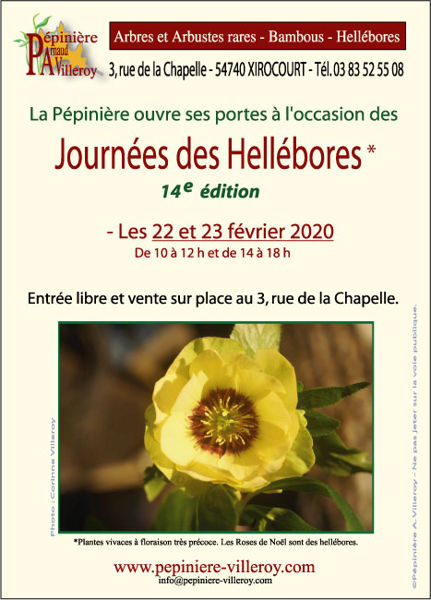 14e Journées des Hellébores à Xirocourt