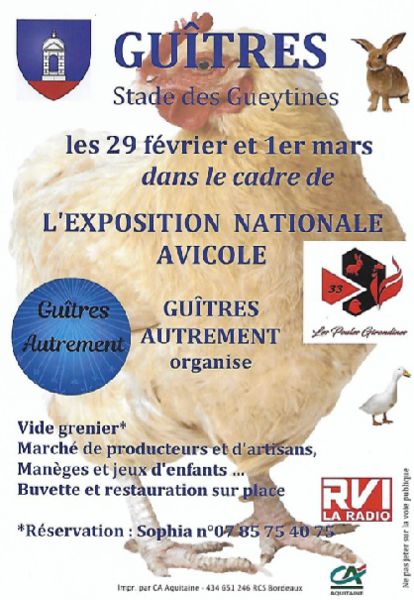 Exposition nationale avicole et Vide-grenier