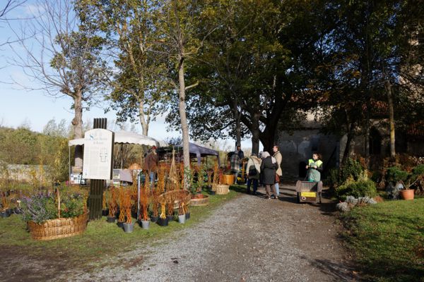 30ème Fête des Plantes de Jenzat (Allier)