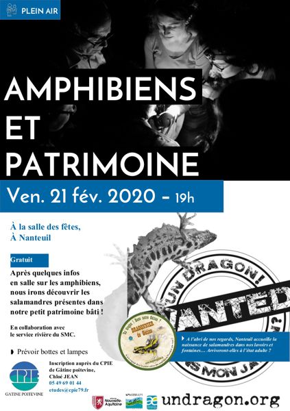 Amphibiens et patrimoine