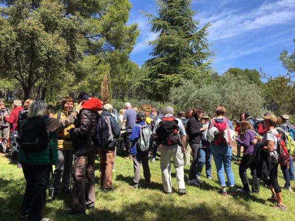 Marche Populaire des épouvantails - Saint-Cannat