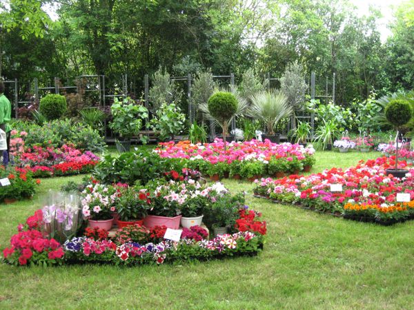 FLEURS ET BROCANTE