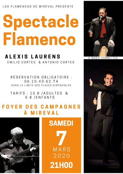 SPECTACLE FLAMENCO