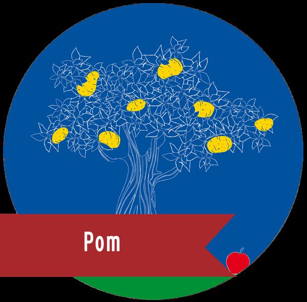 POM - TERRAIN NEUTRE THEATRE