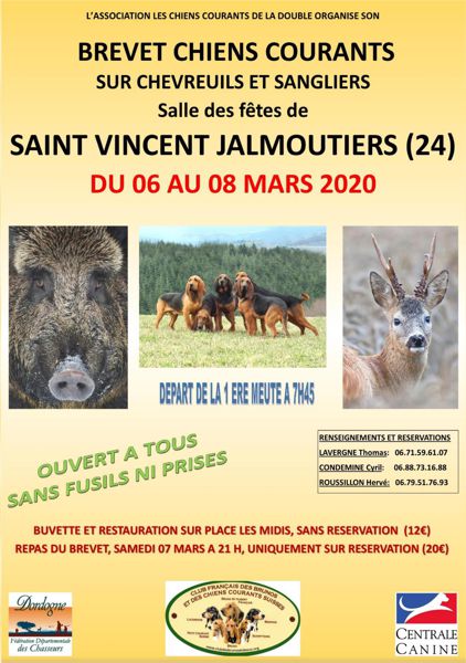 Brevet de chasse chiens courants