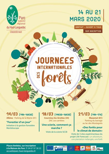 Journée Internationale des Forêts - Une scierie, comment ça marche ?