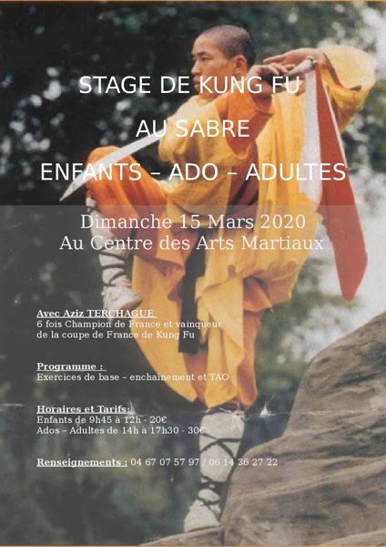 Stage de Kung Fu au Sabre