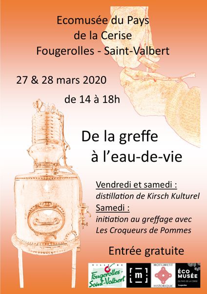 De la greffe à l'eau de vie