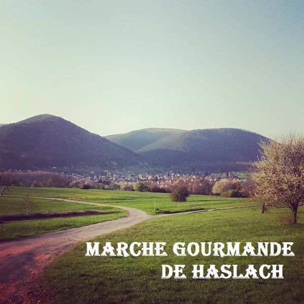 Marche Gourmande de Haslach