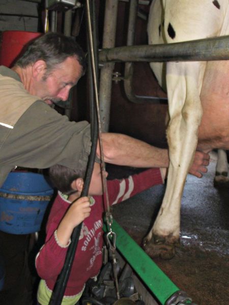 jeudi matin à la ferme